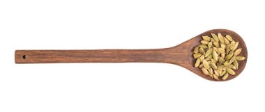 beyaz zemin üzerine tahta kaşık içinde kakule tohumu