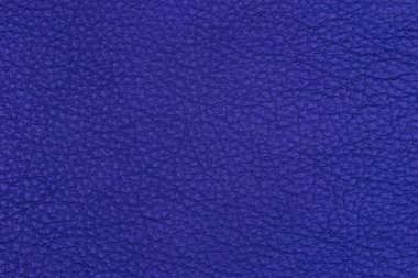 deri doku. Arka plan, boş şablon.