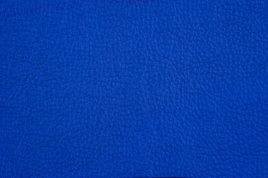 deri doku. Arka plan, boş şablon.