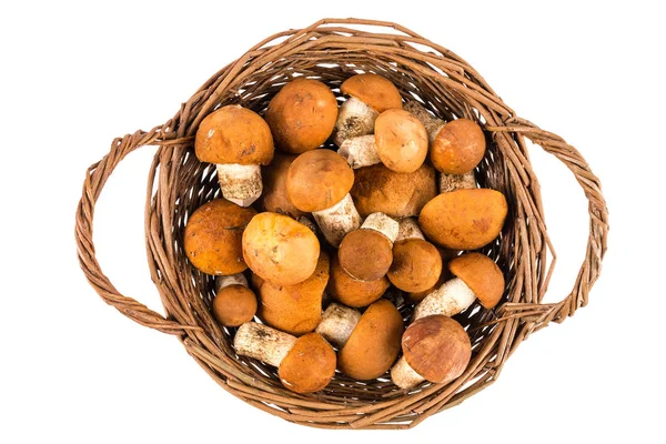 Mushrooms Boletus Basket Isolated White Background Top View — Stock Photo, Image