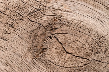 Ahşap doku fırçalanmış çam panoları ile deniz mili. Arka plan ağaç desenli. Sıkıntılı ahşap doku. Yaşlı ahşap duvar kağıdı.