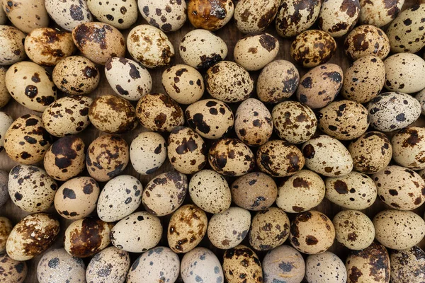 Quail eggs on the old table background texture. — Stock Photo, Image