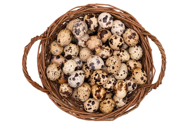 Quail eggs in the basket isolated on white background. — Stock Photo, Image