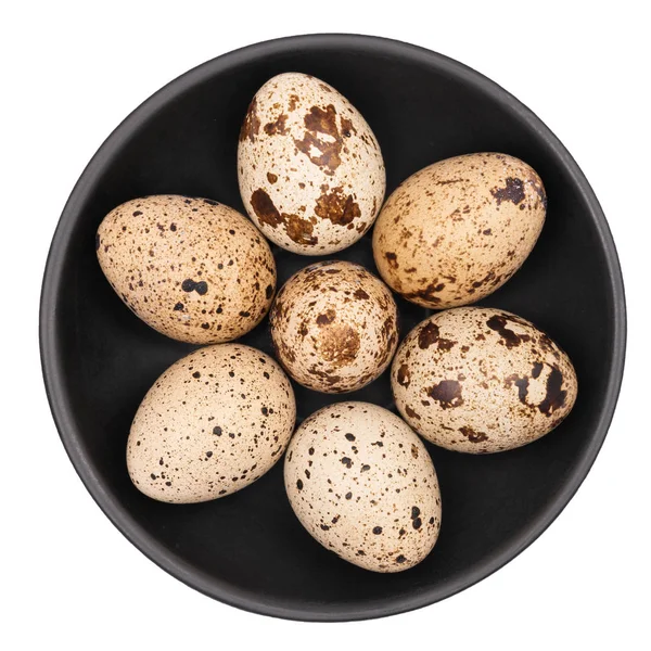 Quail eggs in a black plate isolated on white background. — Stock Photo, Image