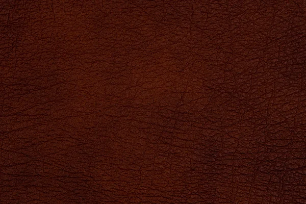 Close-up brown leather texture to background. — Stock Photo, Image