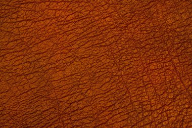 Yakın çekim kahverengi deri doku arka plan için. Soyut deri doku. 