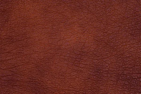 Natural dark leather abstract background detailed closeup — Stock Photo, Image