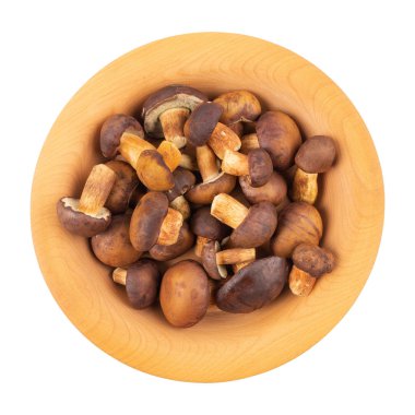 Beyaz sırt üzerinde izole ahşap bir tabakta taze orman mantarı