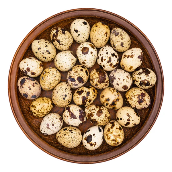Huevos de codorniz en una placa marrón aislados sobre fondo blanco . —  Fotos de Stock