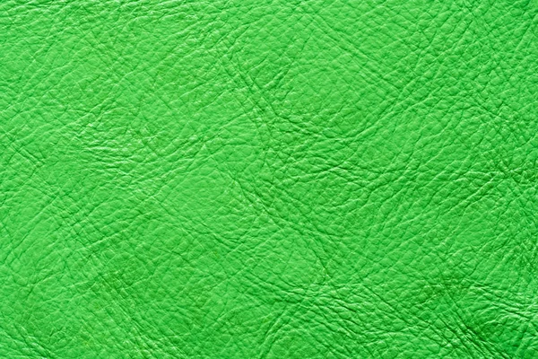 Green leather background.