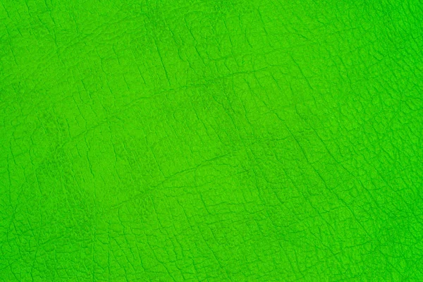 Green leather texture. Background and texture. — Stock Photo, Image