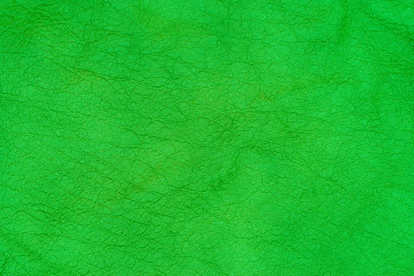 Green leather texture. Background and texture. — Stock Photo, Image