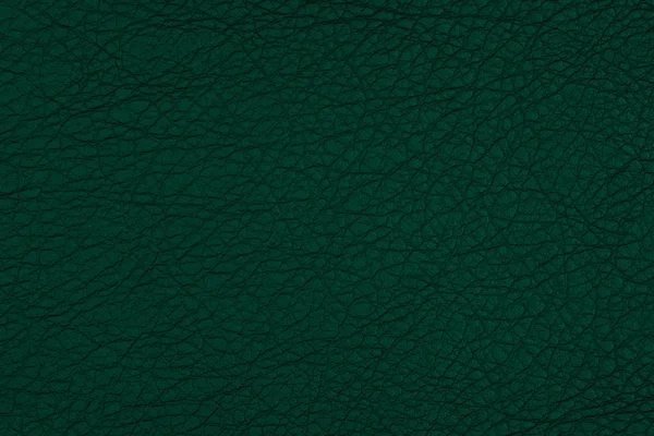 Текстура темно-зеленой кожи. Фон и текстура . — стоковое фото