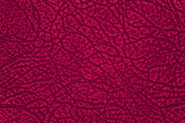 Red leather texture background, faux leather pattern. — Stock Photo, Image