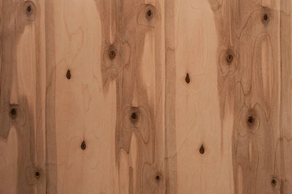 Struttura del legno. Fondo in legno con motivo naturale per il design e la decorazione. Immagine Stock