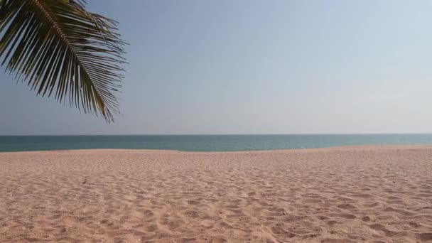 Praia paradisíaca tropical com areia e coco palmas turismo de viagens amplo panorama conceito de fundo — Vídeo de Stock