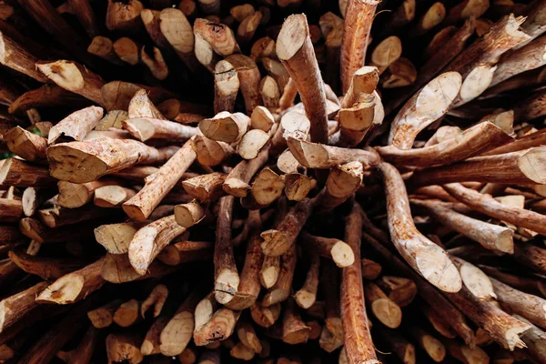 Houten patroon. Browny behang. Handgemaakte werk van kaneel boom Rechtenvrije Stockafbeeldingen