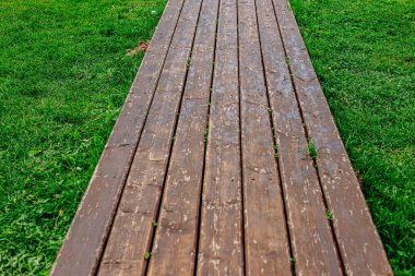 Çim üzerinde ahşap yol. Ahşap ve çim