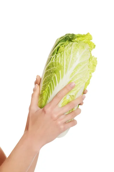 Fresh green iceberg lettuce in womans hand. — Stock Photo, Image