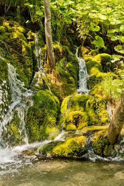 Plitvice Gölleri Milli Parkı'nda güzel manzara. Hırvatistan