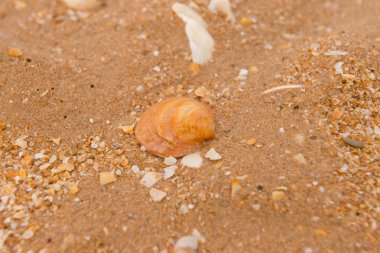 Plaj kum zemin üzerine bilmiyorum