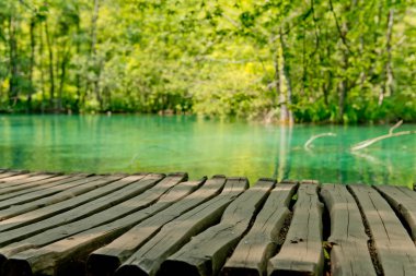 Plitvice Gölleri Milli Parkı'nda güzel manzara. Hırvatistan