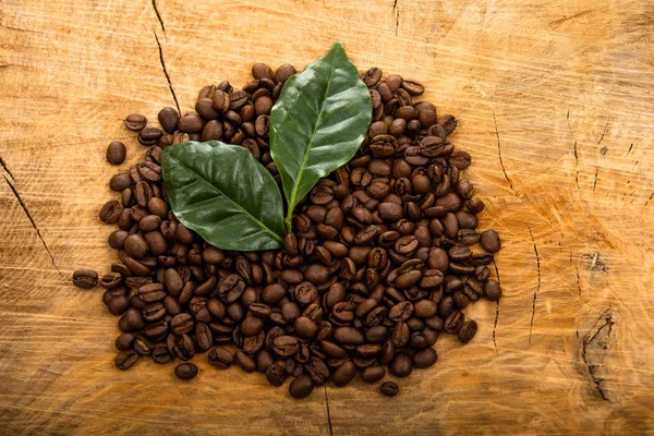 Foto de granos de café y hoja — Foto de Stock