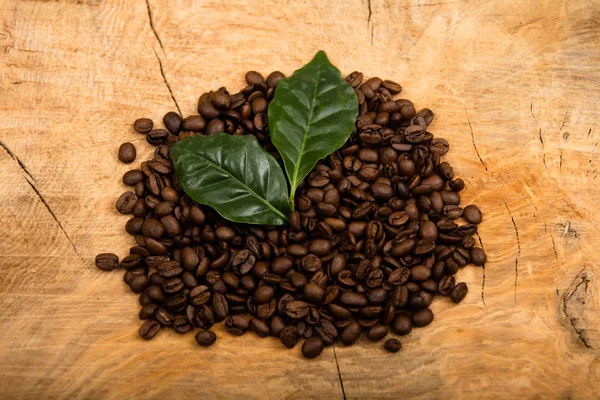 Foto de grãos de café e folha — Fotografia de Stock