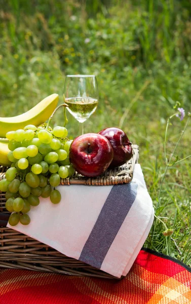 Picnic concept - wine and fruits — Stock Photo, Image