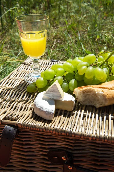 Picnic koncept - appelsinjuice, baguette, ost og druer - Stock-foto