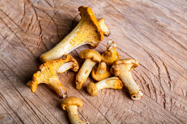 Heap of fresh yellow forestry chanterelle — Stock Photo, Image