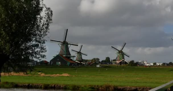 Musée en plein air des moulins à vent à Zaandam . — Video