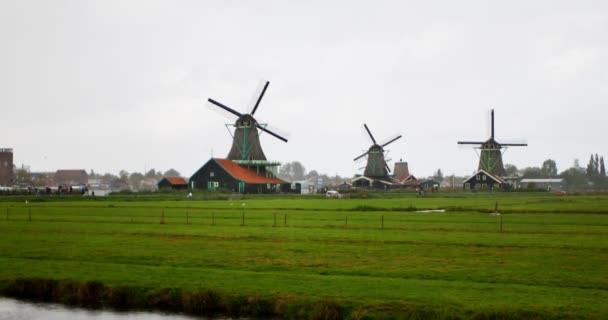 Museo all'aperto dei mulini a vento a Zaandam . — Video Stock