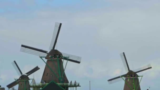 Museo all'aperto dei mulini a vento a Zaandam . — Video Stock