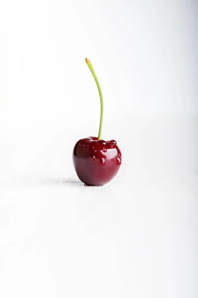 Bagnato fresco succosa singola ciliegia — Foto Stock