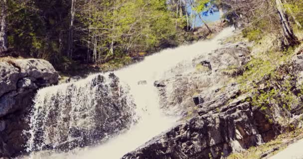 Tavasszal a folyó átfolyik az Alpok szikláin.. — Stock videók