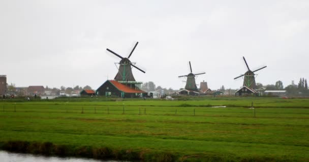 Museo all'aperto dei mulini a vento a Zaandam . — Video Stock