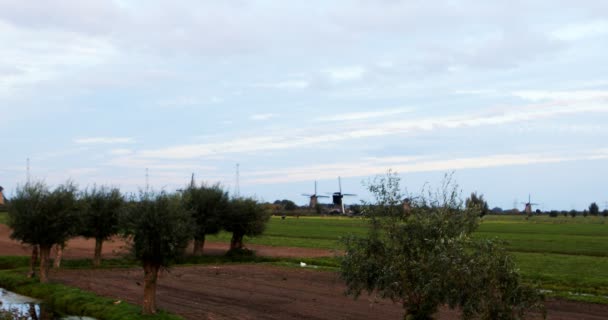 Wiatraki w Kinderdijk. — Wideo stockowe