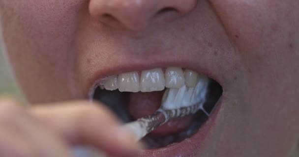 Vue rapprochée du brossage des dents — Video