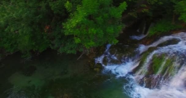 Waterval in bos — Stockvideo