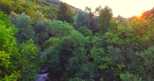 瀑布的神秘盆地 — 图库视频影像