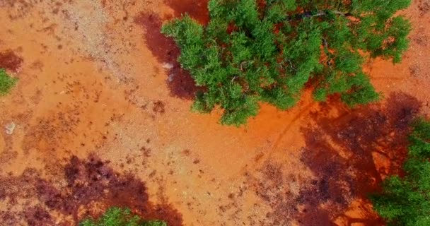Red sand in hot climate — Stock Video