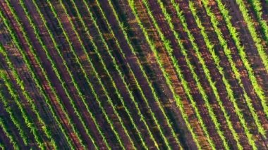 Arka plan hava tarım