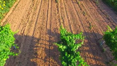 Ülke--dan soluduğumuz hava