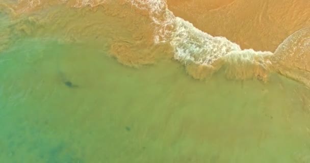 Zachte Golf met blauwe oceaan aan zandstrand. Lege ruimte kan worden gebruikt als achtergrond voor de weergave of montage van uw producten bovenaanzicht. — Stockvideo