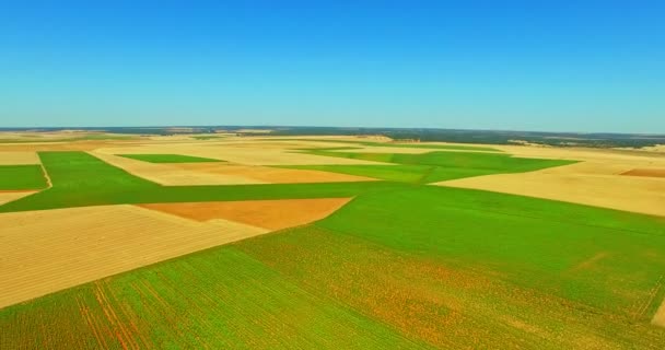 Прекрасний панорамний вид на сільськогосподарські поля з повітря — стокове відео
