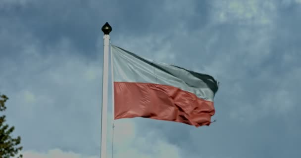 Polska flaga macha na wiatr — Wideo stockowe