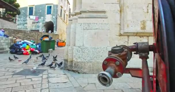 Vroeg in de ochtend op de straten van Dubrovnik. — Stockvideo