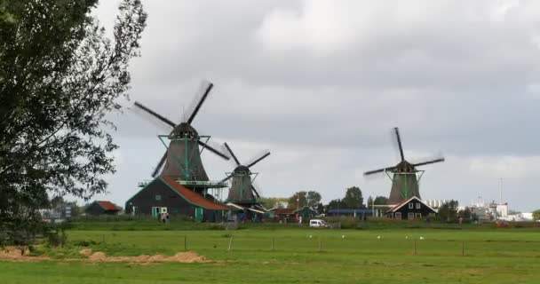 Museo all'aperto dei mulini a vento a Zaandam . — Video Stock