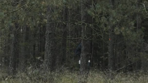 Frau läuft in Wald — Stockvideo